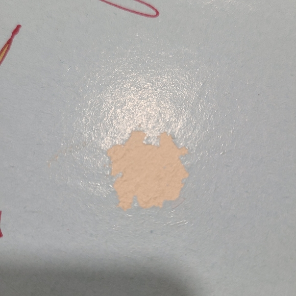 Heritage Embroidered Pillow Cases💙 - Picture 3 of 16